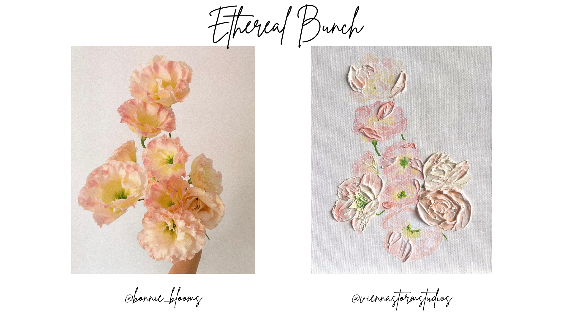 Ethereal Bunch